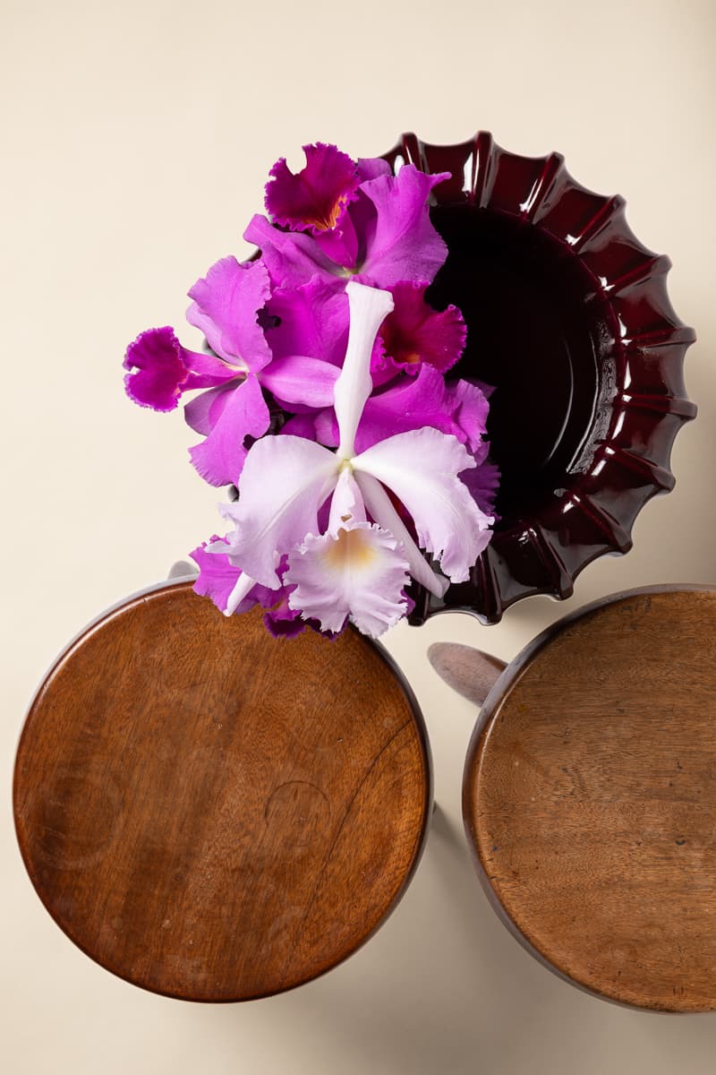 Composition florale Osmossa